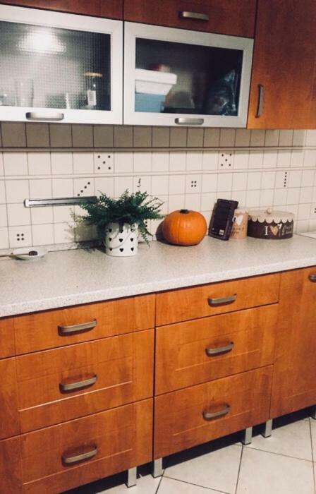 Apartament Swobodna Сосновец Экстерьер фото